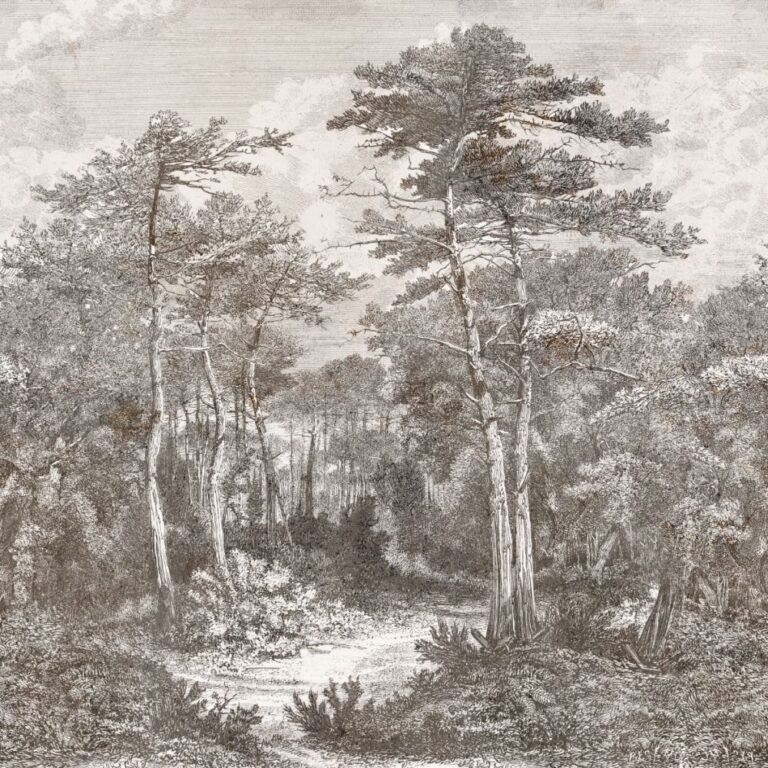 A,View,In,The,Forest,Of,Arcachon,,Vintage,Engraved,Illustration.