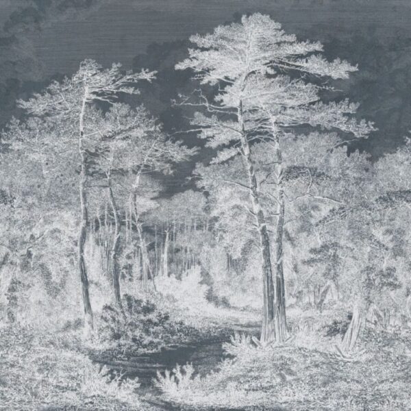 A,View,In,The,Forest,Of,Arcachon,,Vintage,Engraved,Illustration.