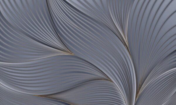 Web