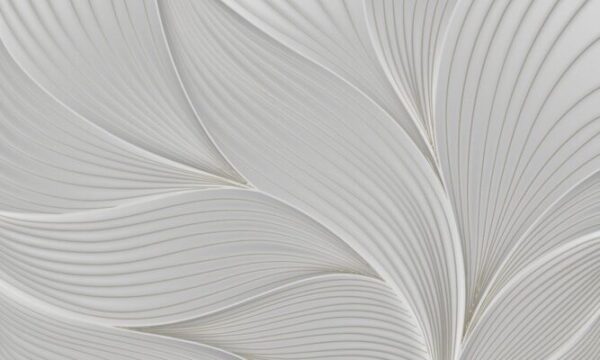 Web