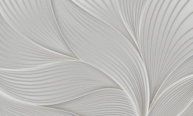 Web