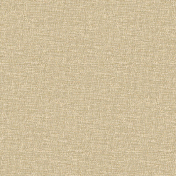 Z47804 768×768 1