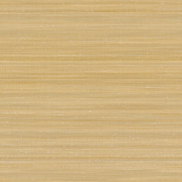 Z47845 768×768 1