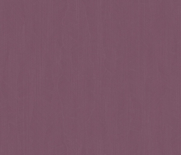 Z54545 768×658 1