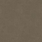 behang beton cire look donkerbruin DWP0366 08