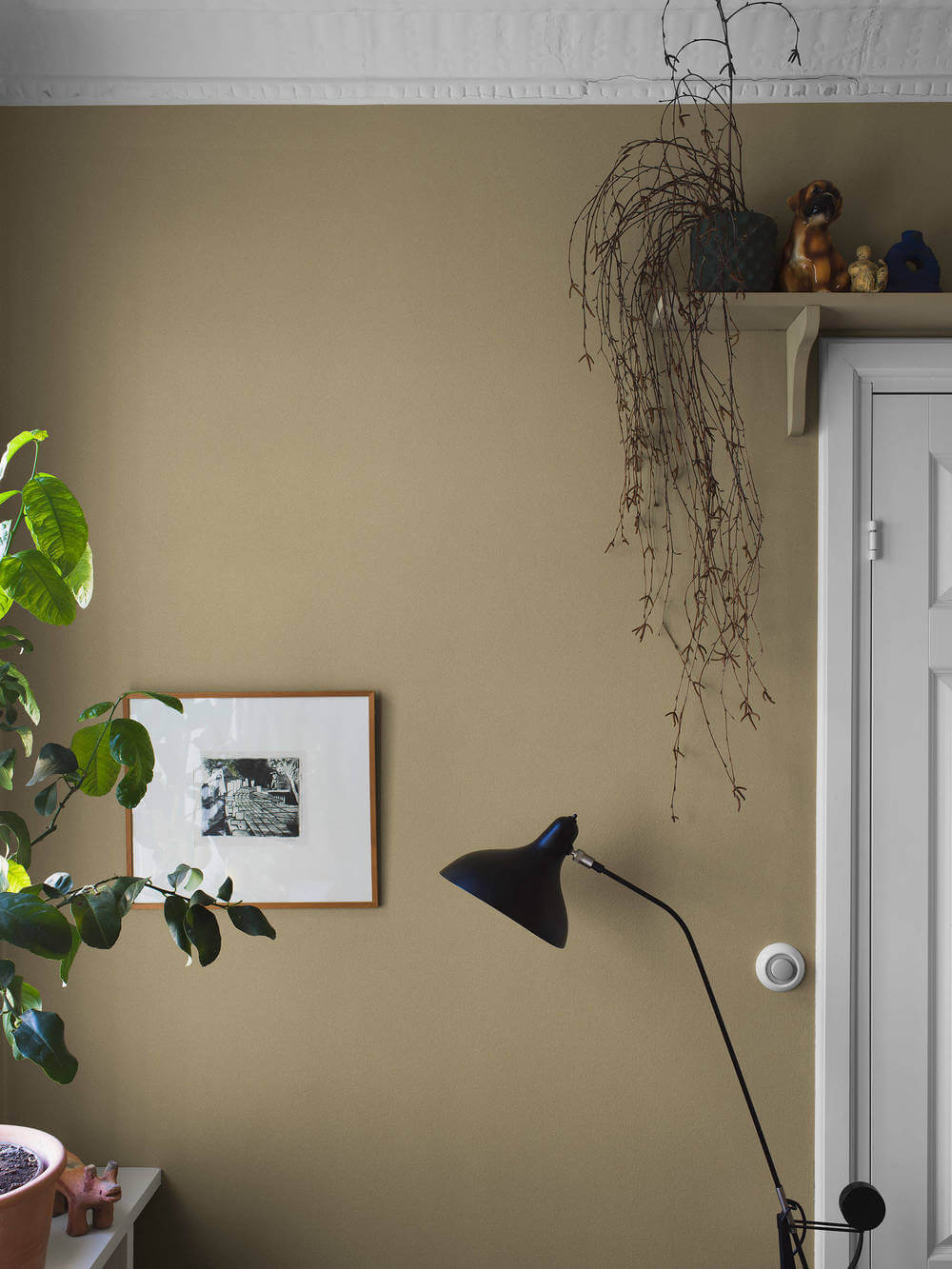 borastapeter pigment 7579 behang 1