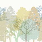 fotobehang bomen bos abstract AND28291