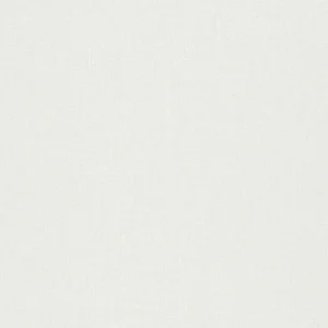 Erismann 4 Earth 10359-31