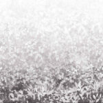 FoliaPerseGrey