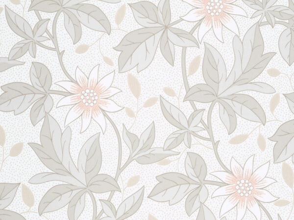 Monroe Evening Flower