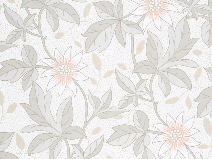 Monroe Evening Flower