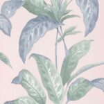 TropicanePlasterI
