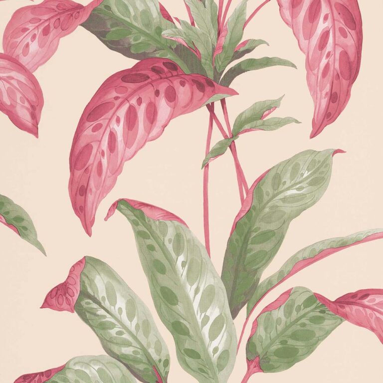 TropicaneRhubarb