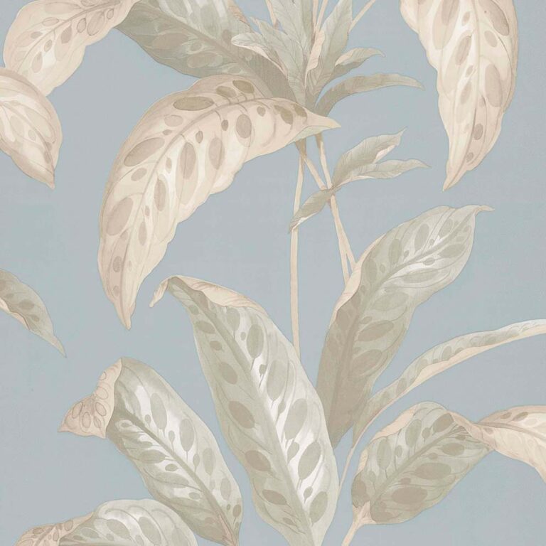 TropicaneSeaNorSky