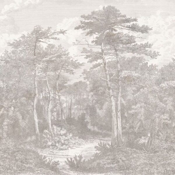 A,View,In,The,Forest,Of,Arcachon,,Vintage,Engraved,Illustration.