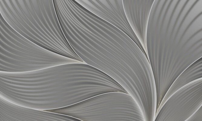 Web