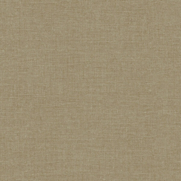 Z57757 768×768 1