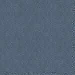 blue 4409 amime 1