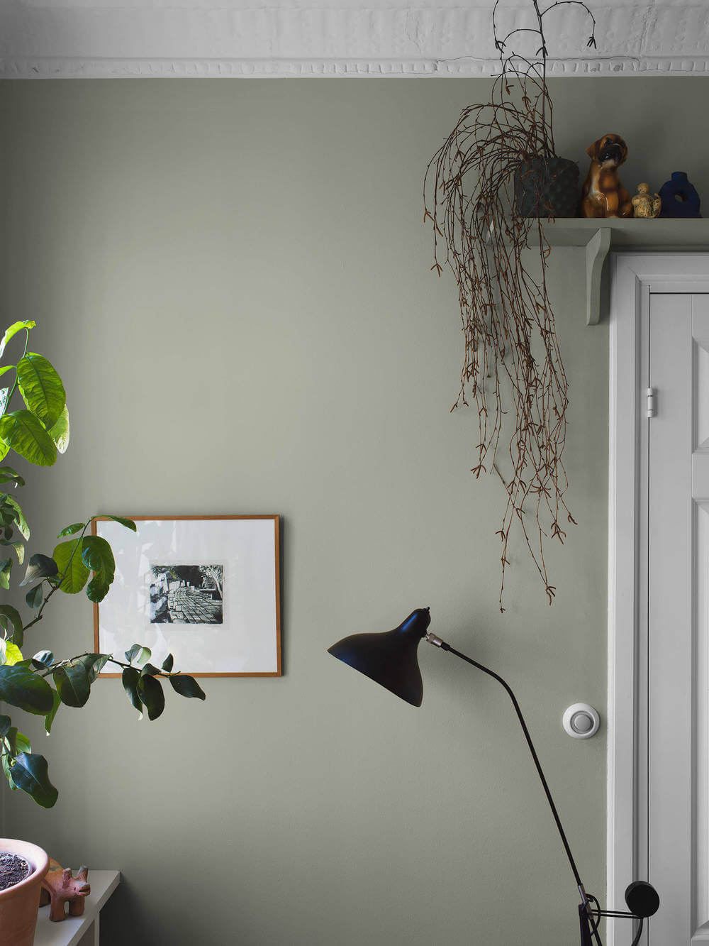 borastapeter pigment 7559 behang 1