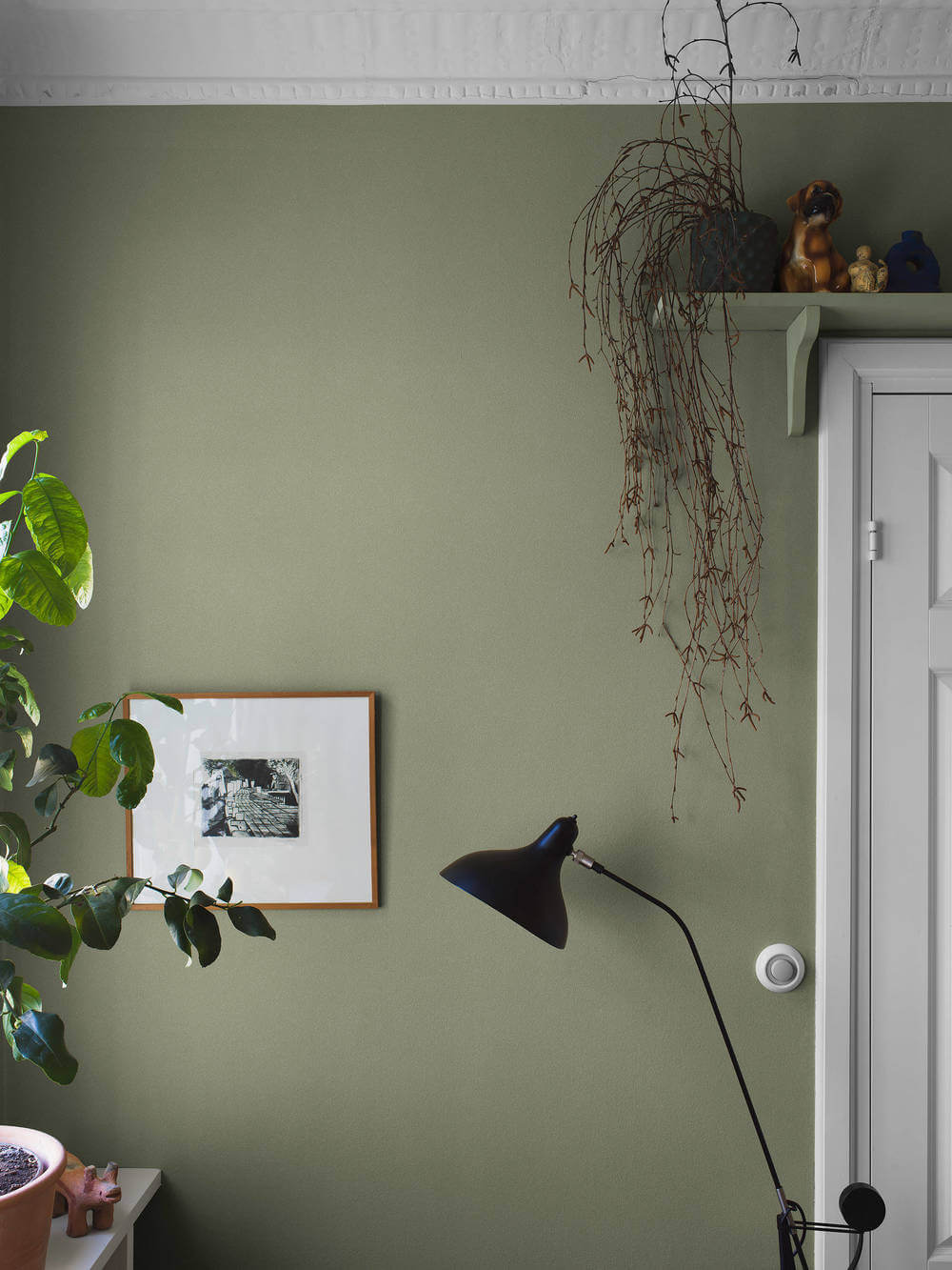 borastapeter pigment 7582 behang 1