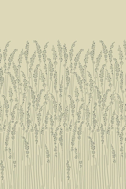 feather grass 5105 wallpaper base