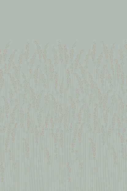 feather grass 5107 wallpaper base