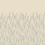 feather grass 5109 1
