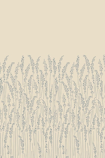 feather grass 5109 1
