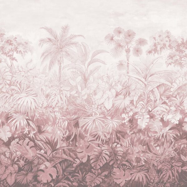 jangala plaster 1700×1530 1