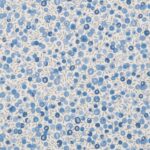 liberty london liberty wiltshire blossom lapis 072 1