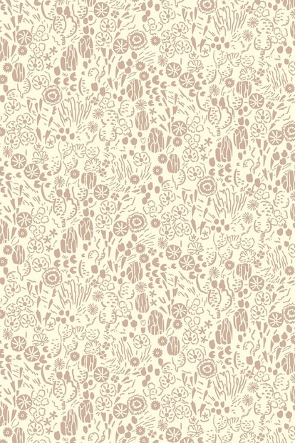 neutral 5809 atacama 1