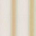 ombre stripe   lichen doric