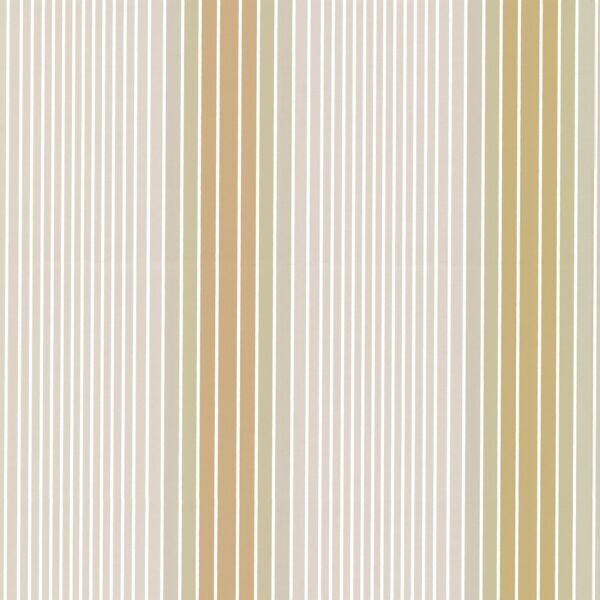 ombre stripe   lichen doric