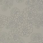 paint paper library paint paper library aeonium 03 1