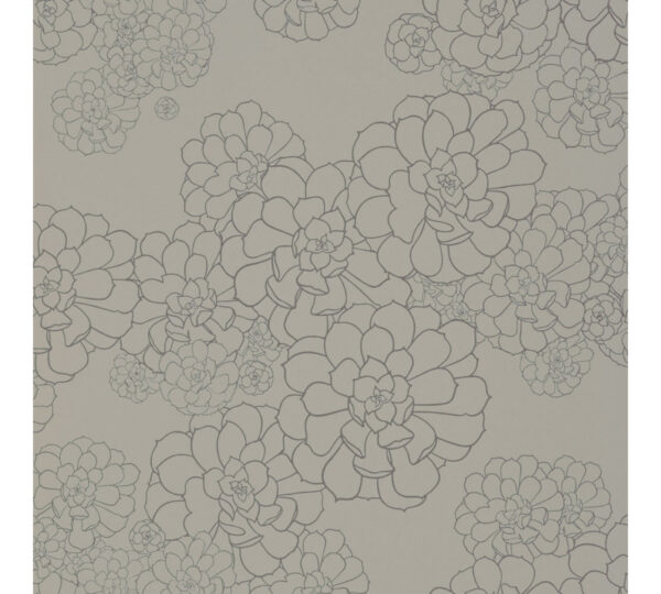 paint paper library paint paper library aeonium 03 1