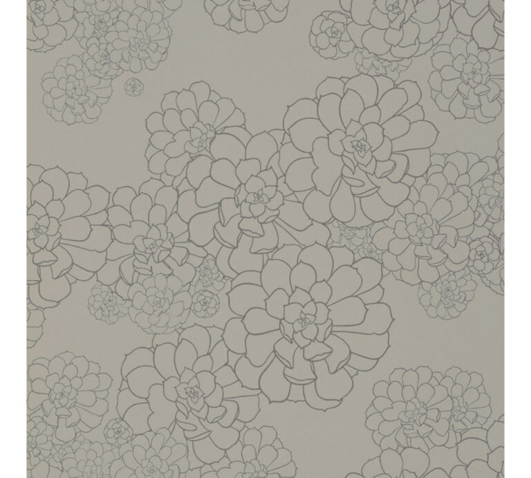 paint paper library paint paper library aeonium 03 1