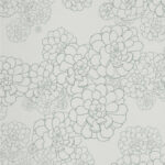 paint paper library paint paper library aeonium 03