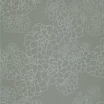 paint paper library paint paper library aeonium 03 2