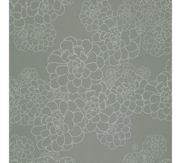 paint paper library paint paper library aeonium 03 2
