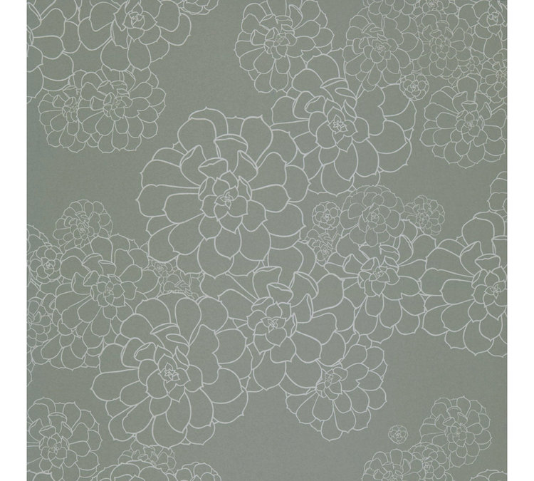 paint paper library paint paper library aeonium 03 2