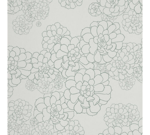 paint paper library paint paper library aeonium 03