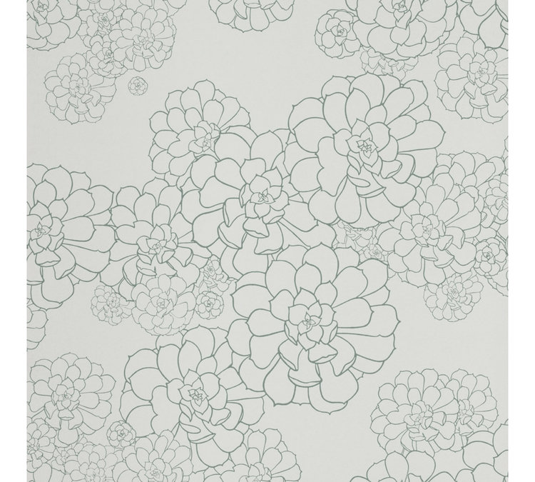 paint paper library paint paper library aeonium 03