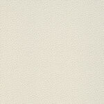 paint paper library paint paper library seedpod 03 3