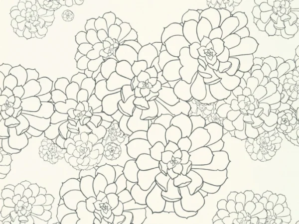 styqx aeonium clean white