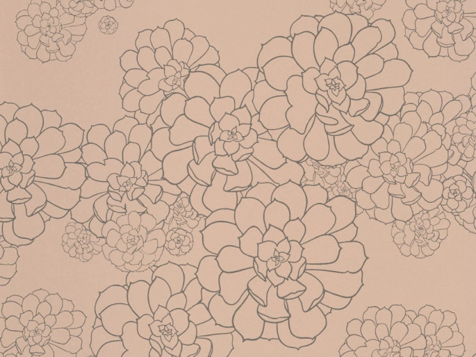 styqx aeonium temple