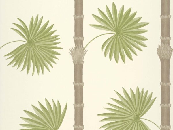 styqx hardy palm sand iii