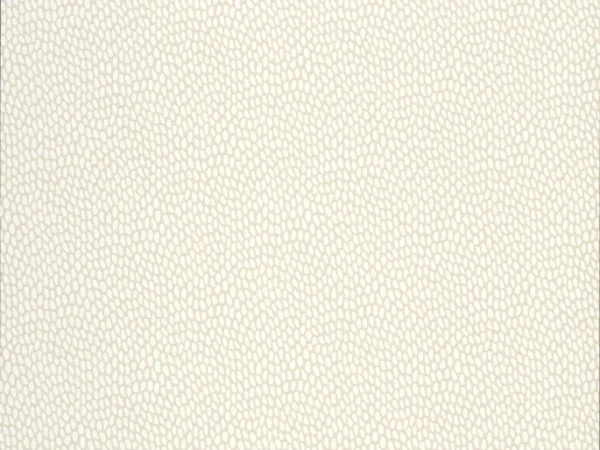 styqx seedpod sand