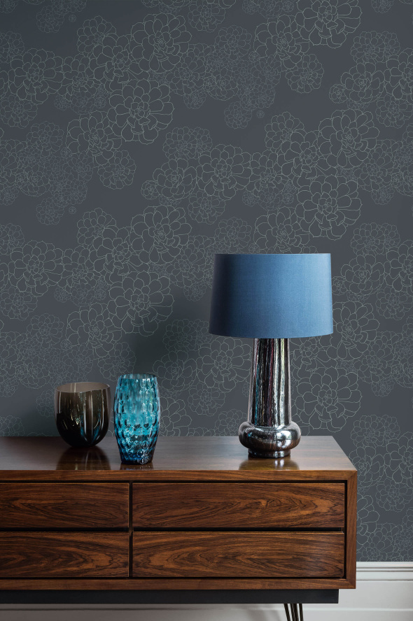 tresco aeonium blueblood featured image