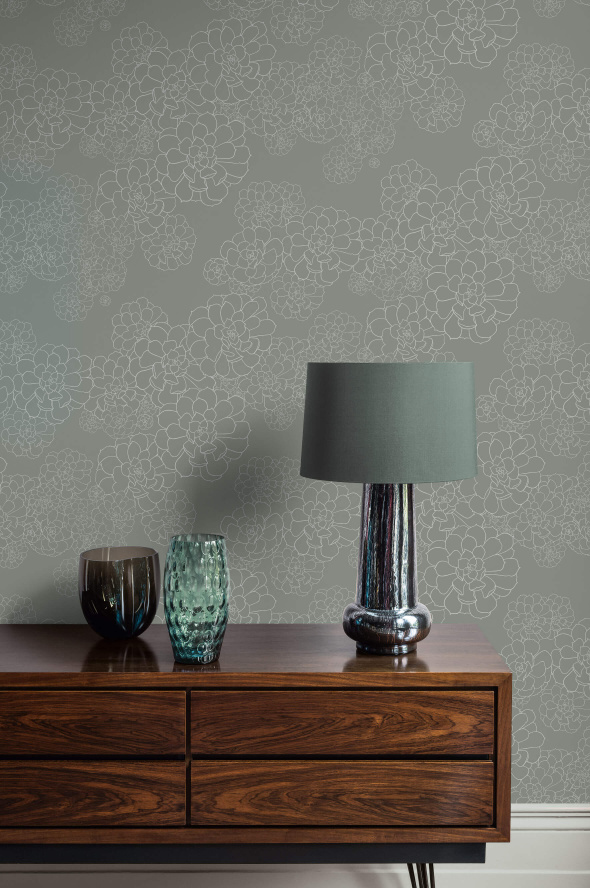 tresco aeonium steel featured image
