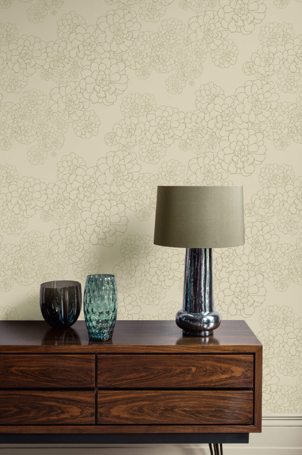 tresco aeonium wattle featured image